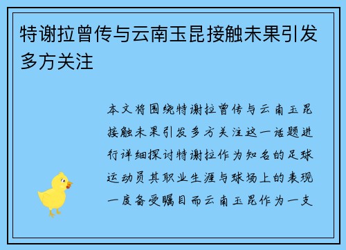 特谢拉曾传与云南玉昆接触未果引发多方关注 特谢拉曾传与云南玉昆接触未果引发多方关注